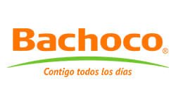 bachoco